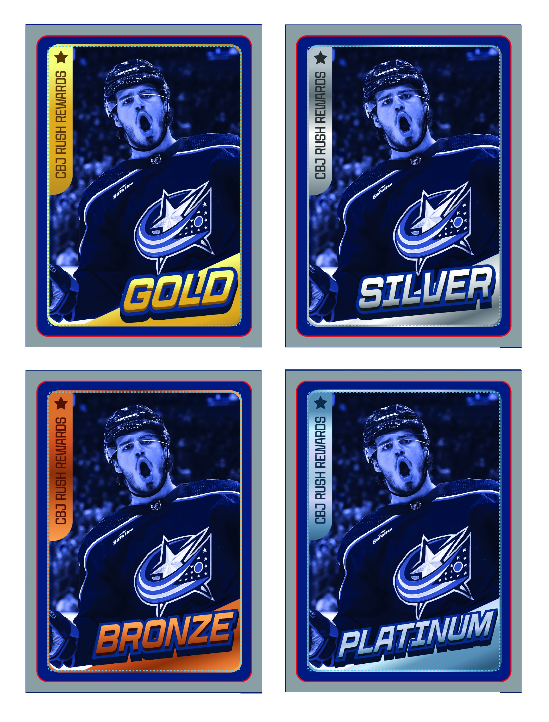 Sweepstakes Reward Test - sweepstakes