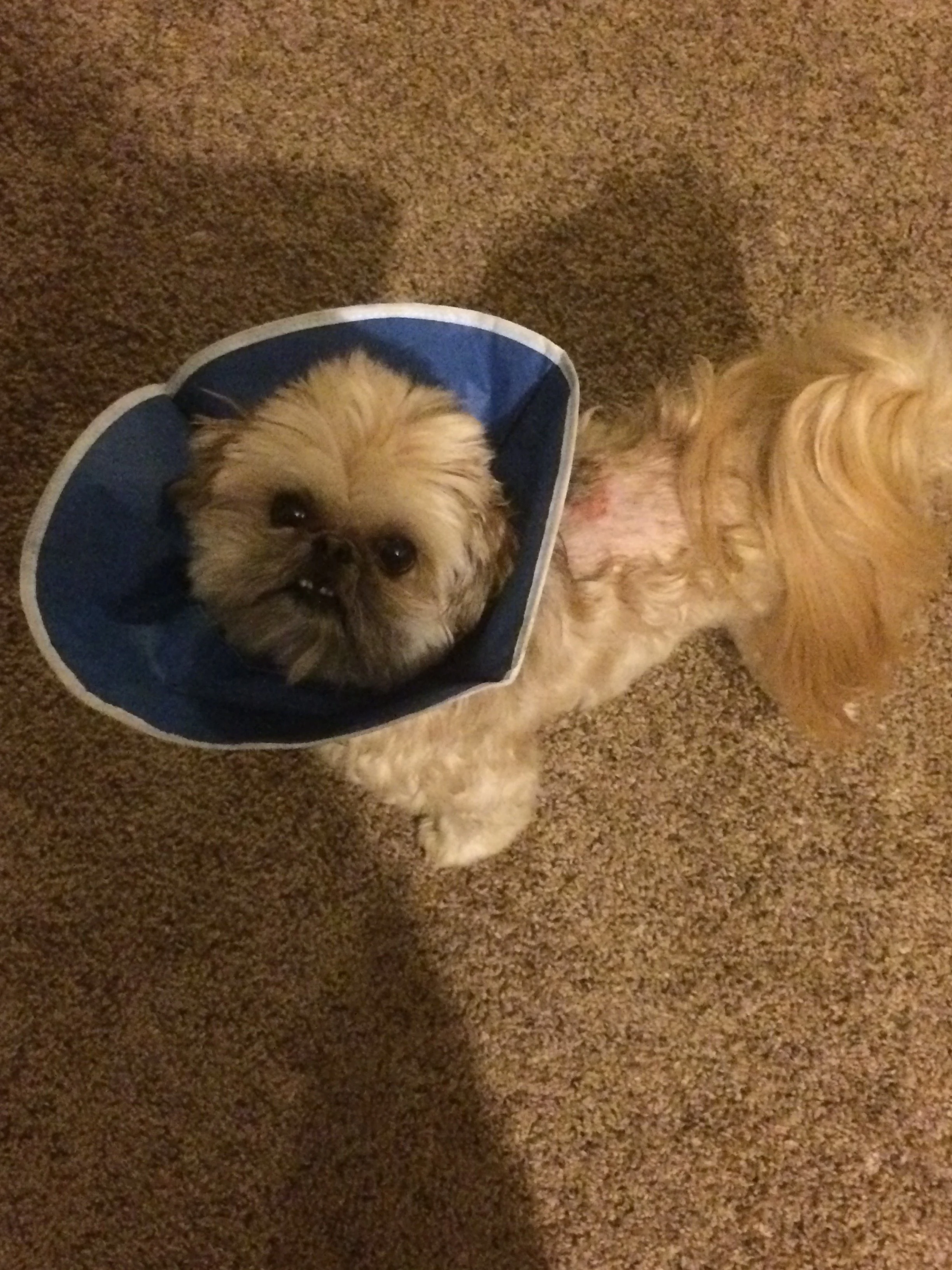 Article Challenge Test CTA Prompt